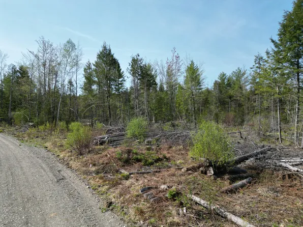 Lot 1 Mattamiscontis Road, Howland, ME 04448