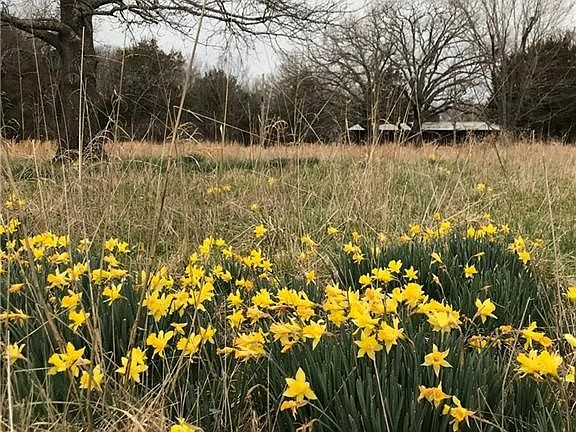 3rd image of 19763 Pug Gayer Rd