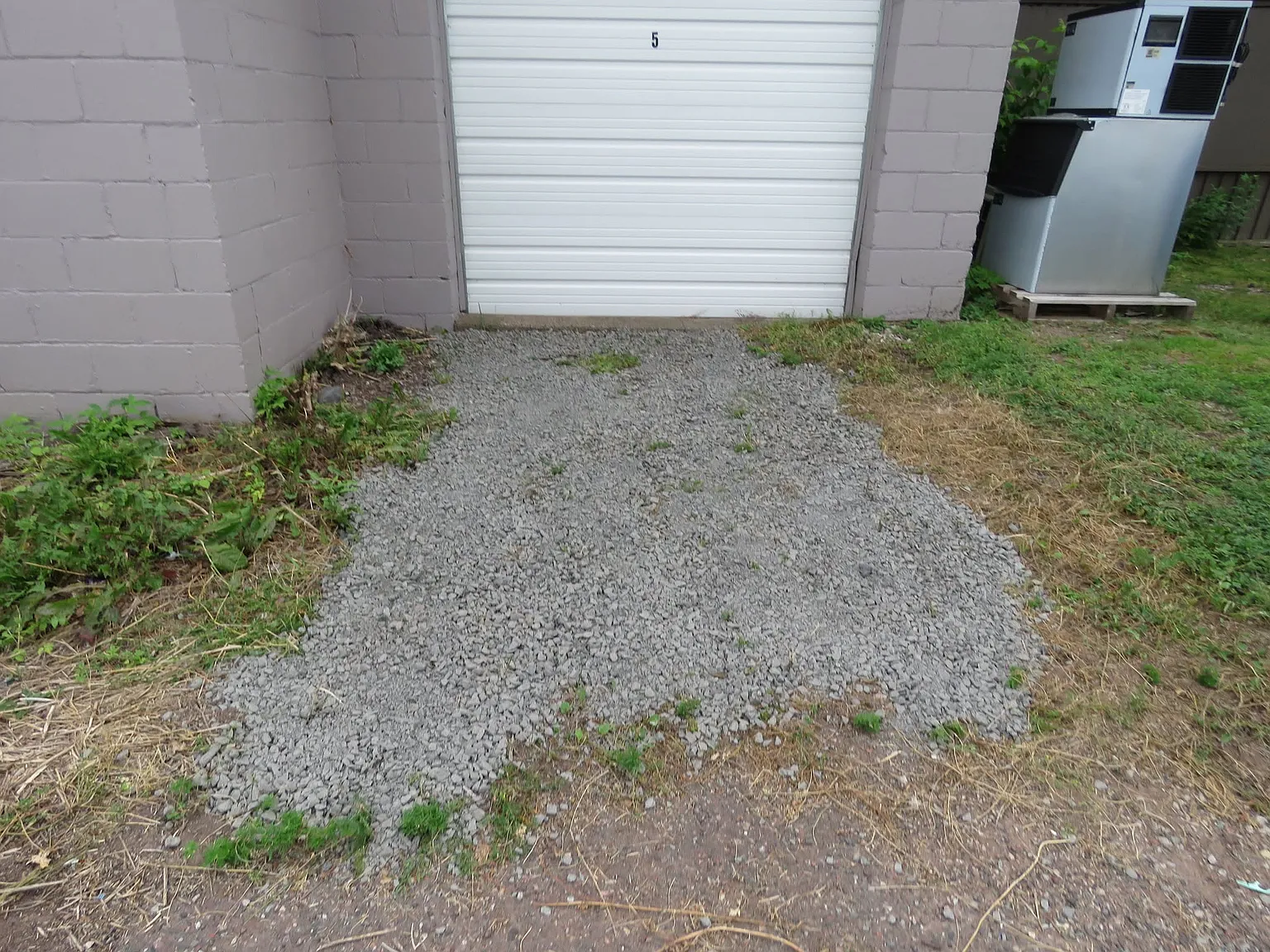 1 bed, 700 sqft, $1,000 — Photo 3