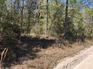 NW Thirteen Terrace 65 St, Bell, FL 32619