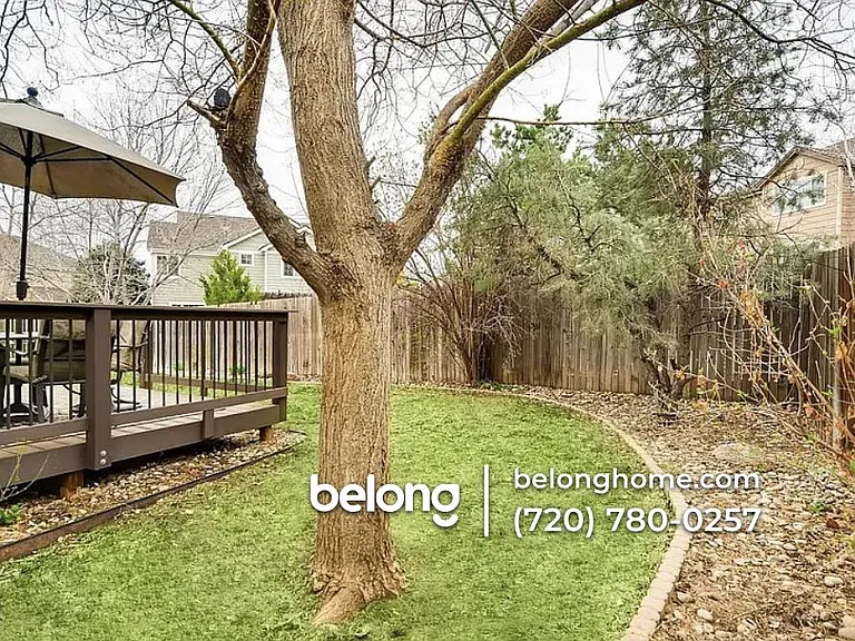 10328 Stoneflower Dr — Photo 5