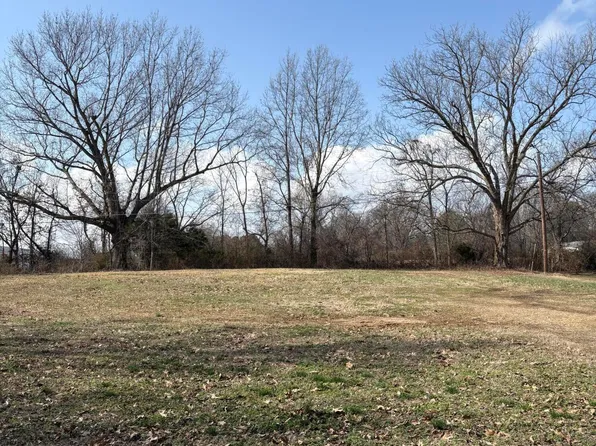 211 McDonald St, Newbern, TN 38059