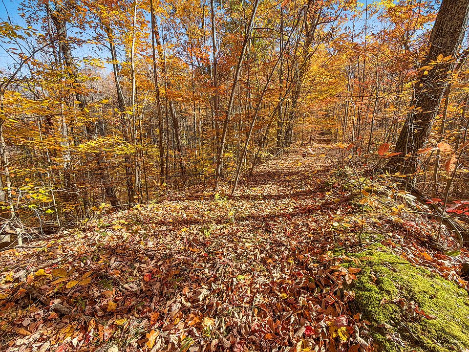 43rd image of this home