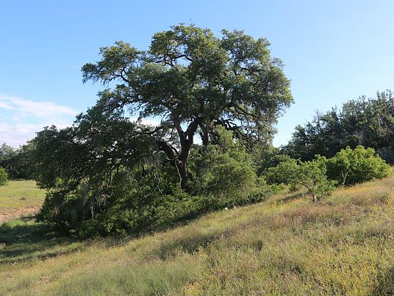 5th image of 1016 Oak Turn