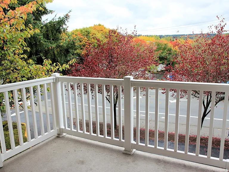 Deck with Overlook View