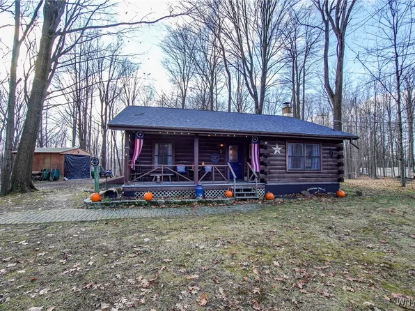 11487 Alleghany Rd, Silver Creek, NY 14136