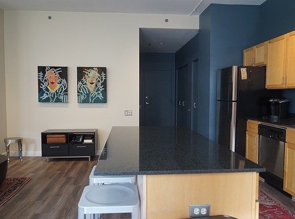 4th image of 5 N Wabash Ave APT 1405