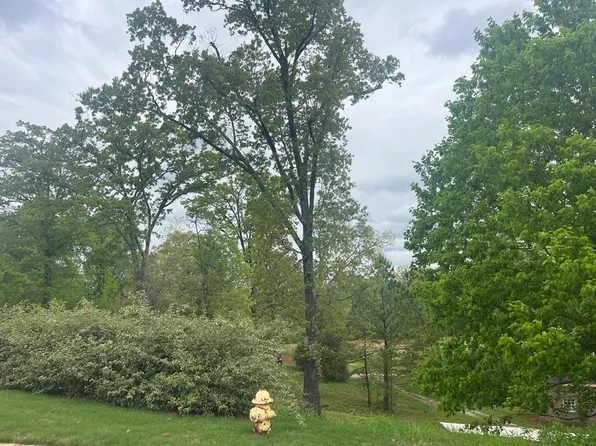 13 Rosemont Loop, Oxford, MS 38655