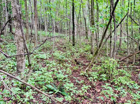 0 Workman Rd, Edmond, WV 25837