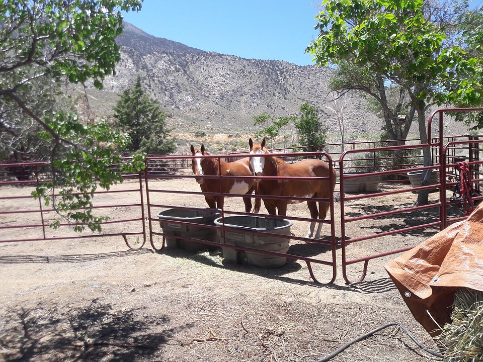 1/4 acre corral Sierra view