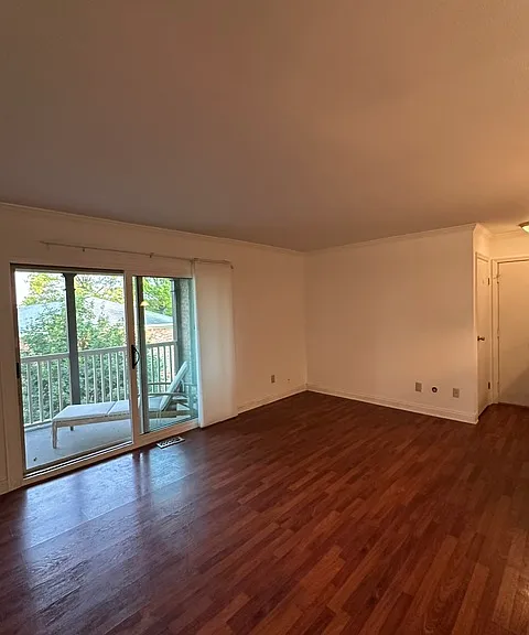 991 Manor Ln — Photo 5