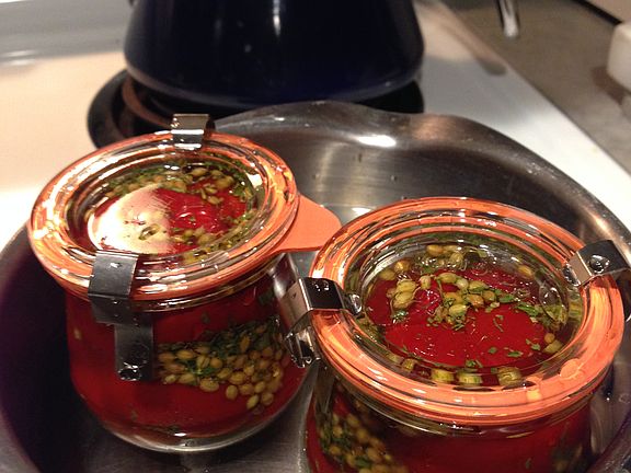 Perfect yard for a gardener!