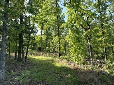 260 Highway 63, Ravenden, AR, 72459