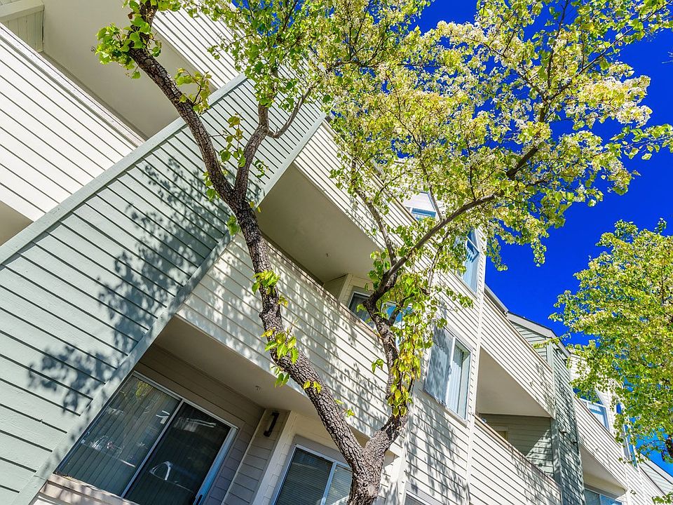 Bridgecreek 1599 S Novato Blvd Novato CA Zillow