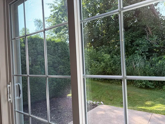Quiet, Private and Lush Rear Yard
