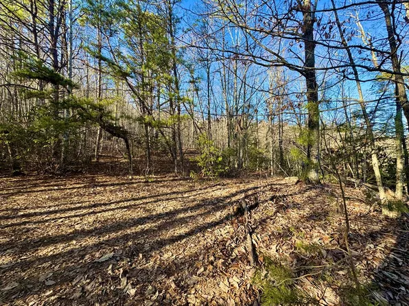 N/a Cabin Fever Dr, Marion, VA 24354