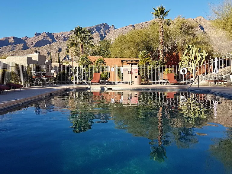 6255 N Camino Pimeria Alta Id1386206p Catalina #ID1386206P — Photo 28