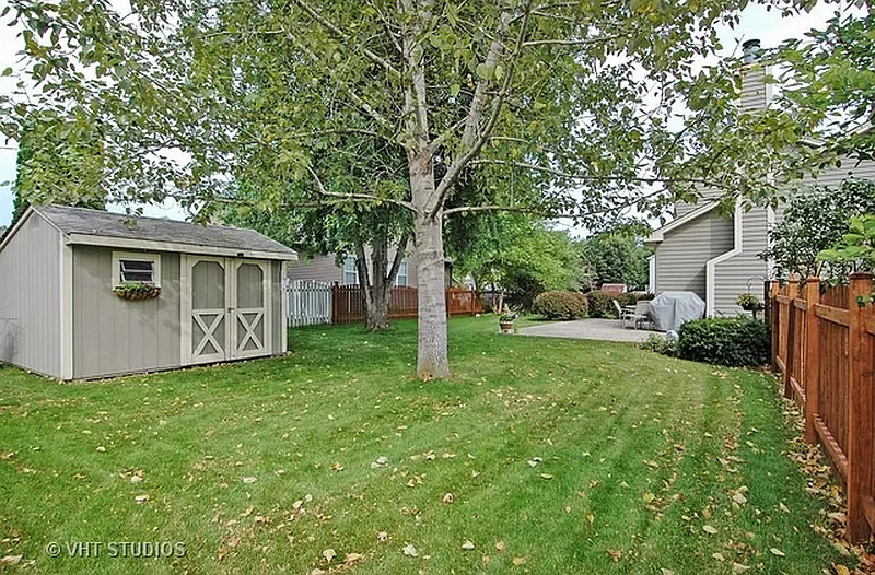 Thumbnail 15