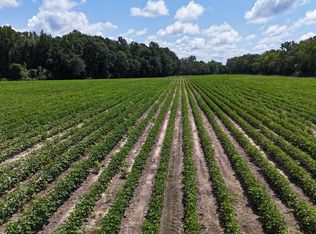 0 Macon Rd, Reynolds, GA 31076