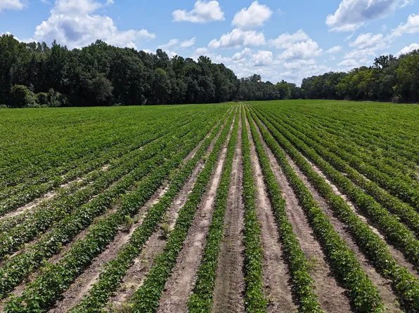 0 Macon Rd, Reynolds, GA 31076