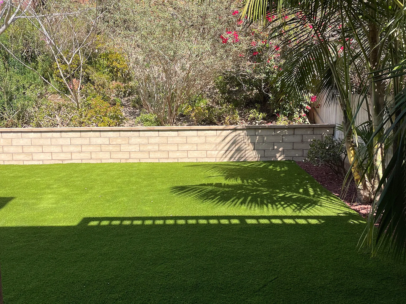 852 Mola Vista Way — Photo 3