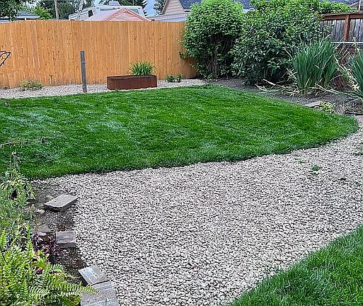 Backyard 2