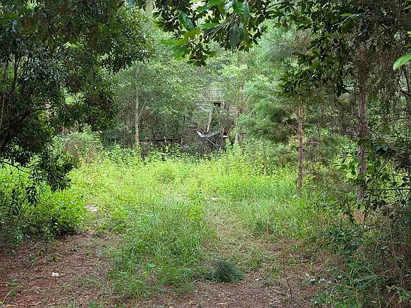 4th image of 9791 Domino Rd