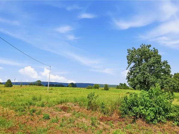 TRACT 4 Llewellyn Loop, Hector, AR 72843