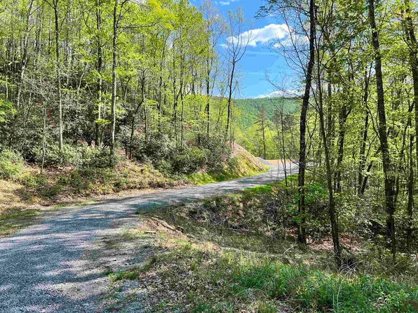 Pine Knoll Ln, Bastian, VA 24314