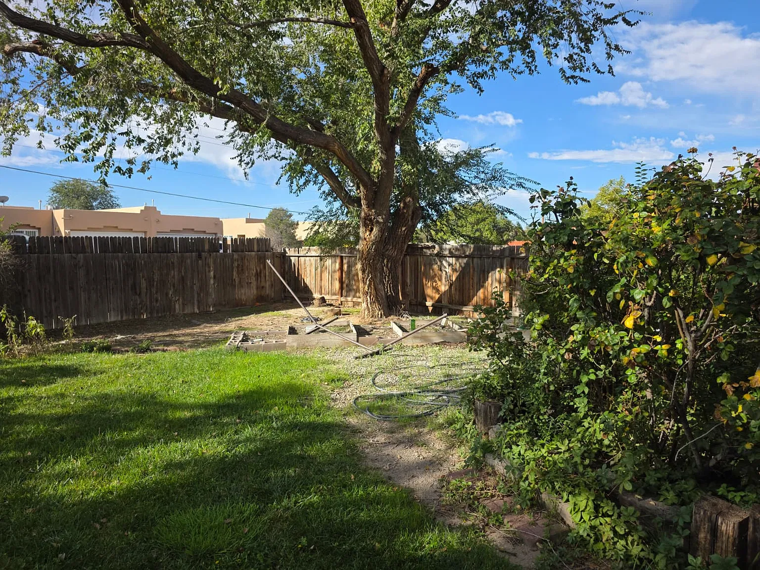 3 bed, 1418 sqft, $2,095 — Photo 4