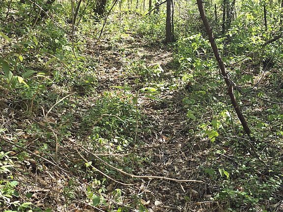 5th image of 321 Mill Creek Rd