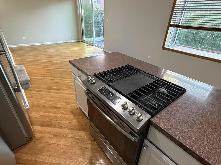 1777 W Altgeld St #F — Photo 8