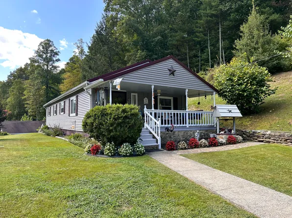 93 Memory Ln, Birch River, WV 26610