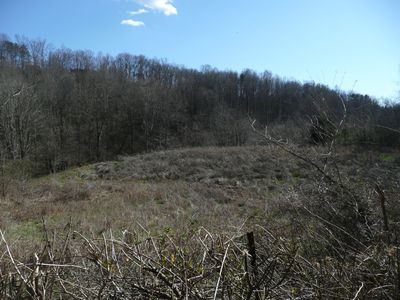 Craighead Rd, Madisonville, TN, 37354