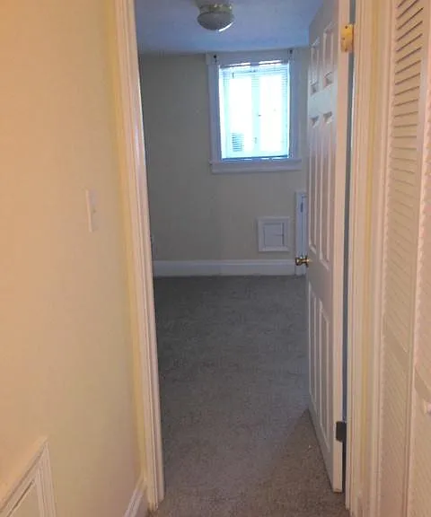 203 E Mount Royal Ave #1 — Photo 14