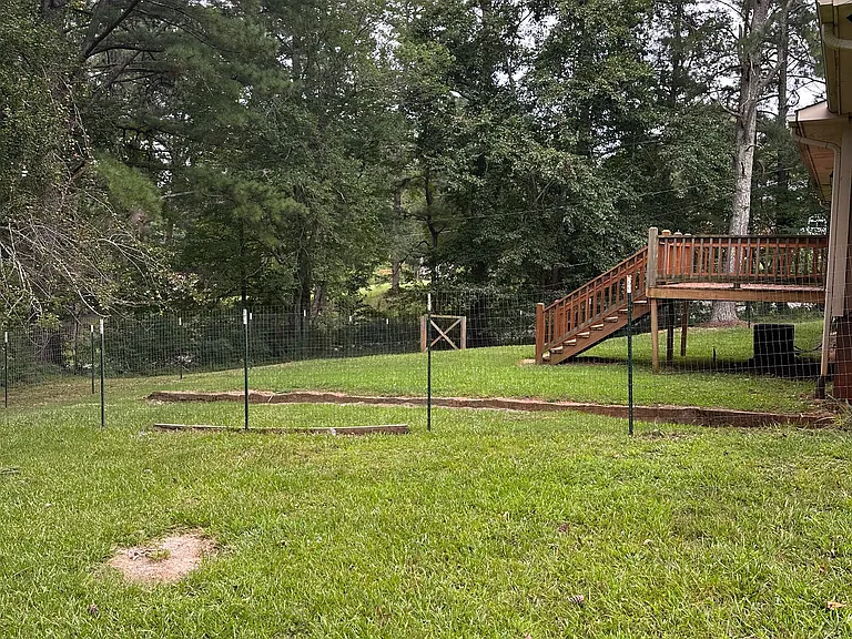 side/back yard