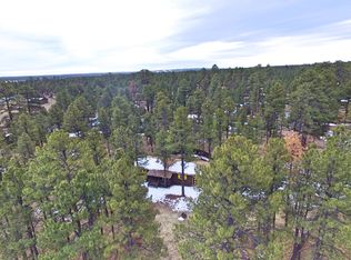 2067 Vagabond Ct, Overgaard, AZ 85933