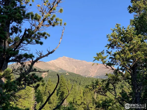 12190 Highway 7, Allenspark, CO 80510