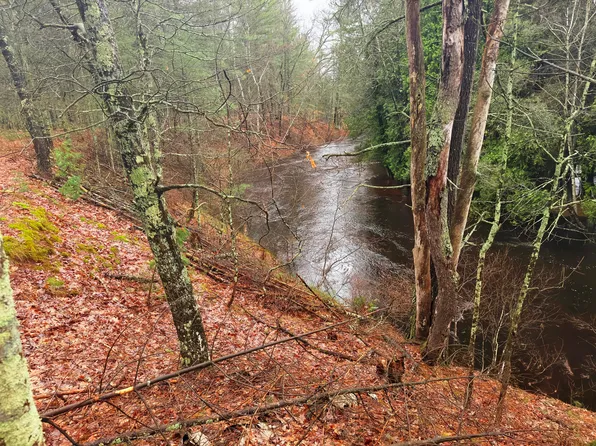 10190 W River Rd, Irons, MI 49644