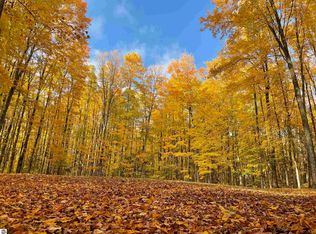 7818 N Maple Valley Rd NE, Mancelona, MI 49659