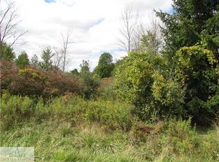 S Chandler Rd, Saint Johns, MI 48879
