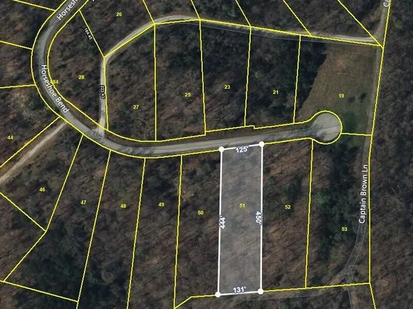 LOT 51 Horseshoe Bnd, Speedwell, TN 37870