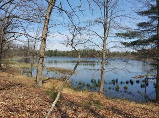 V/l N Beaver Trl, Bitely, MI 49309