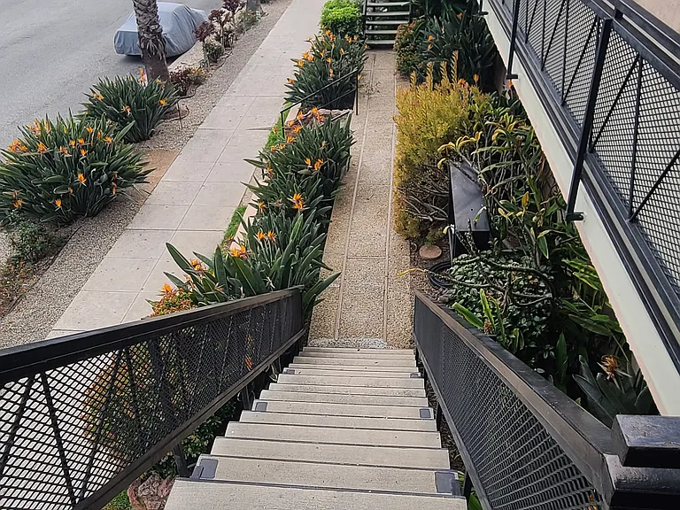 425 Washington Ave #3 — Photo 11