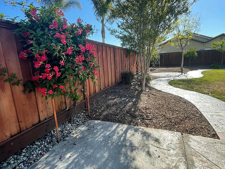 Northern end of property.