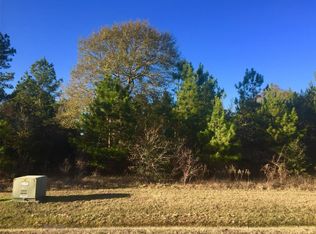 26111 Crown Ranch Blvd, Montgomery, TX 77316