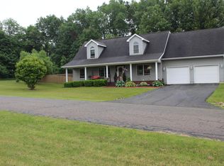 113 Chestnut St, Litchfield, MI 49252