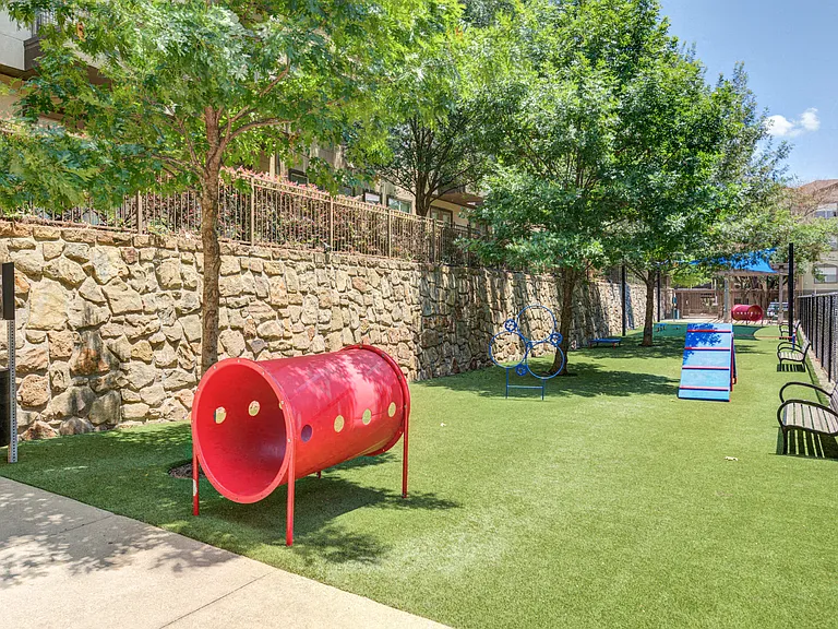 Dog Park Area