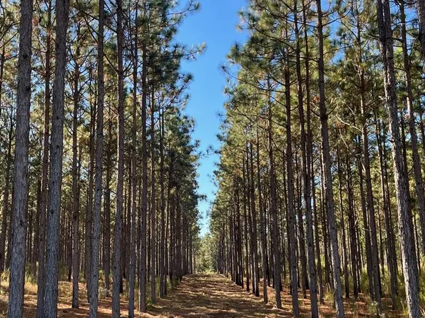 265 Williford Rd, Rebecca, GA 31783