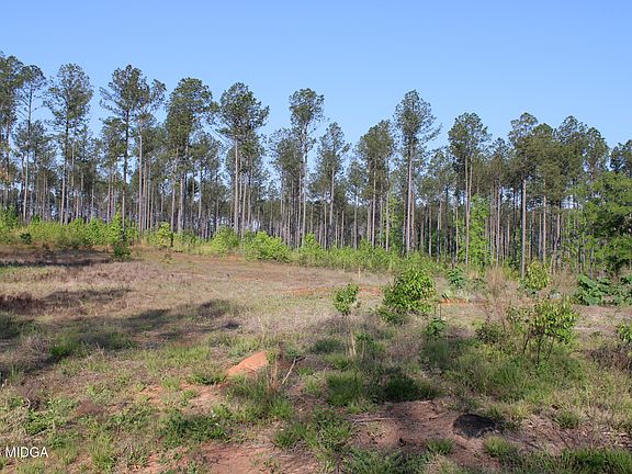 5th image of 0 Watson Rd E Tract 7